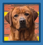 North Fork's Great Balls of Fire (Jerry Lee)