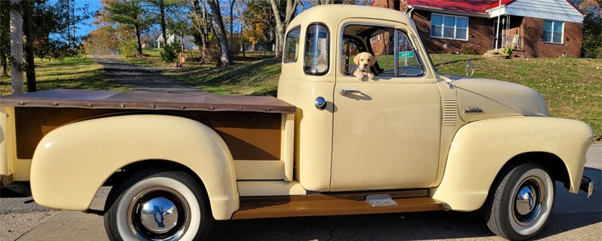 Contact North Fork Labradors | St. Albans, WV